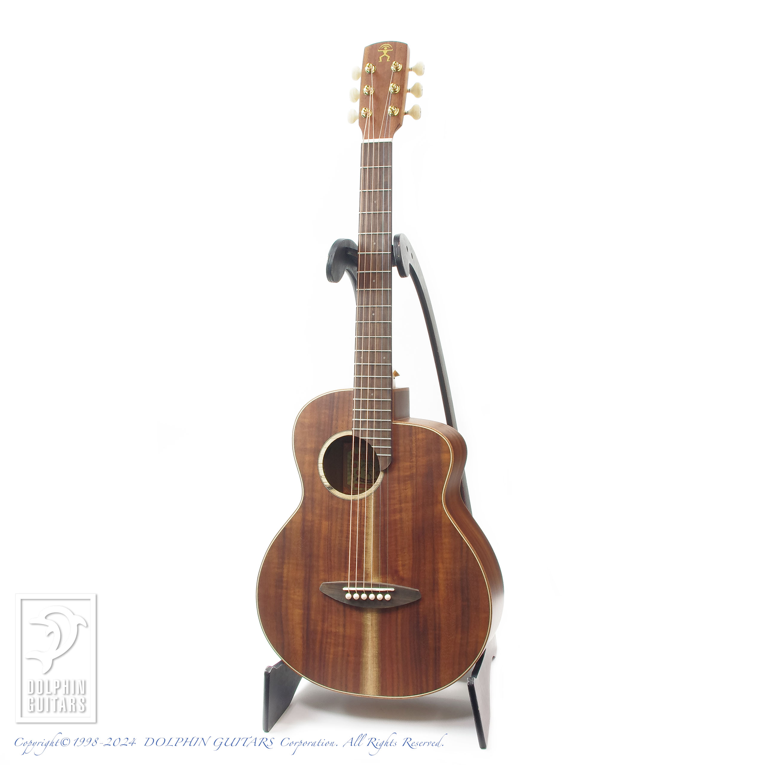 aNueNue aNN-M30E (All Acacia body)|ドルフィンギターズ