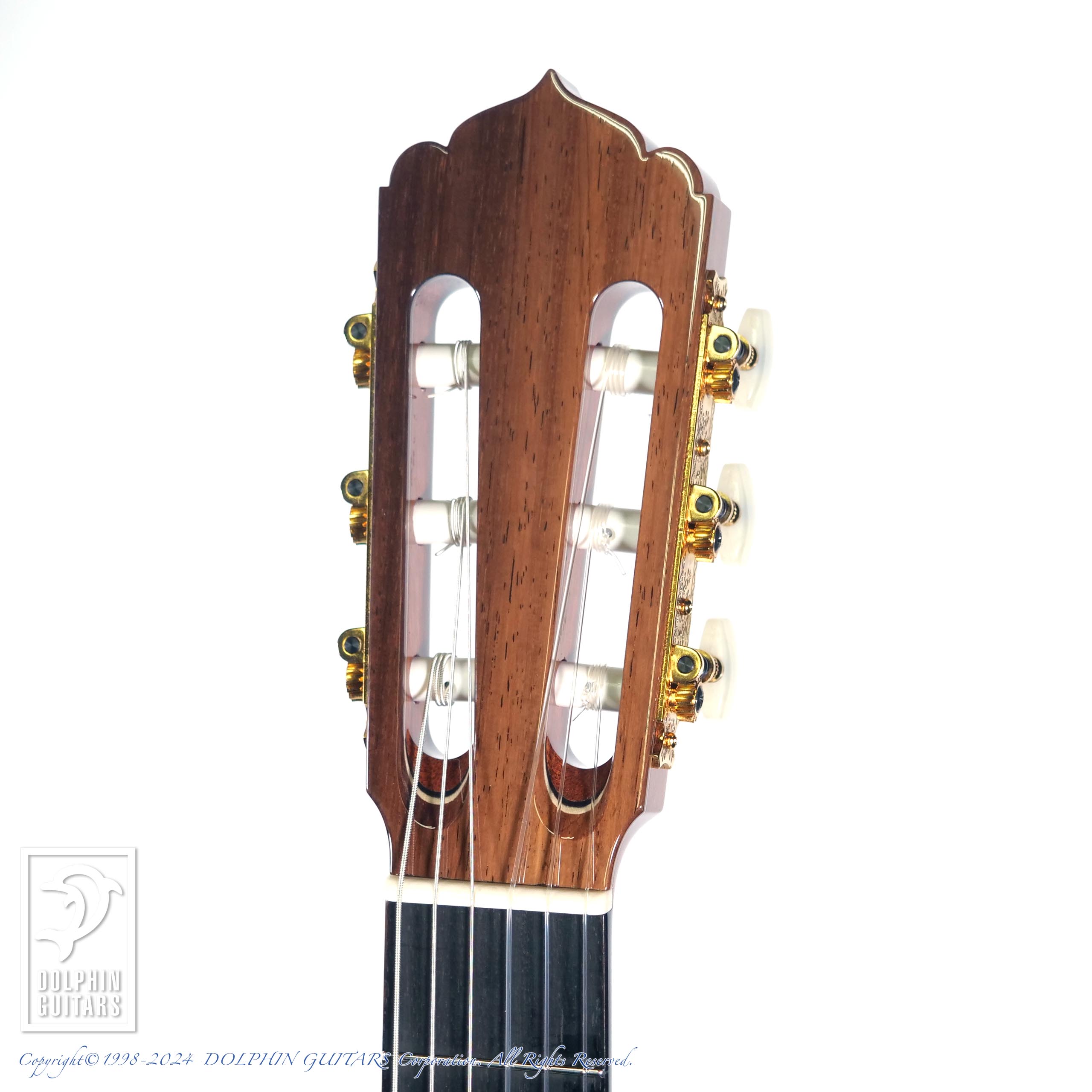 ASTURIAS Solo Classico S|ドルフィンギターズ