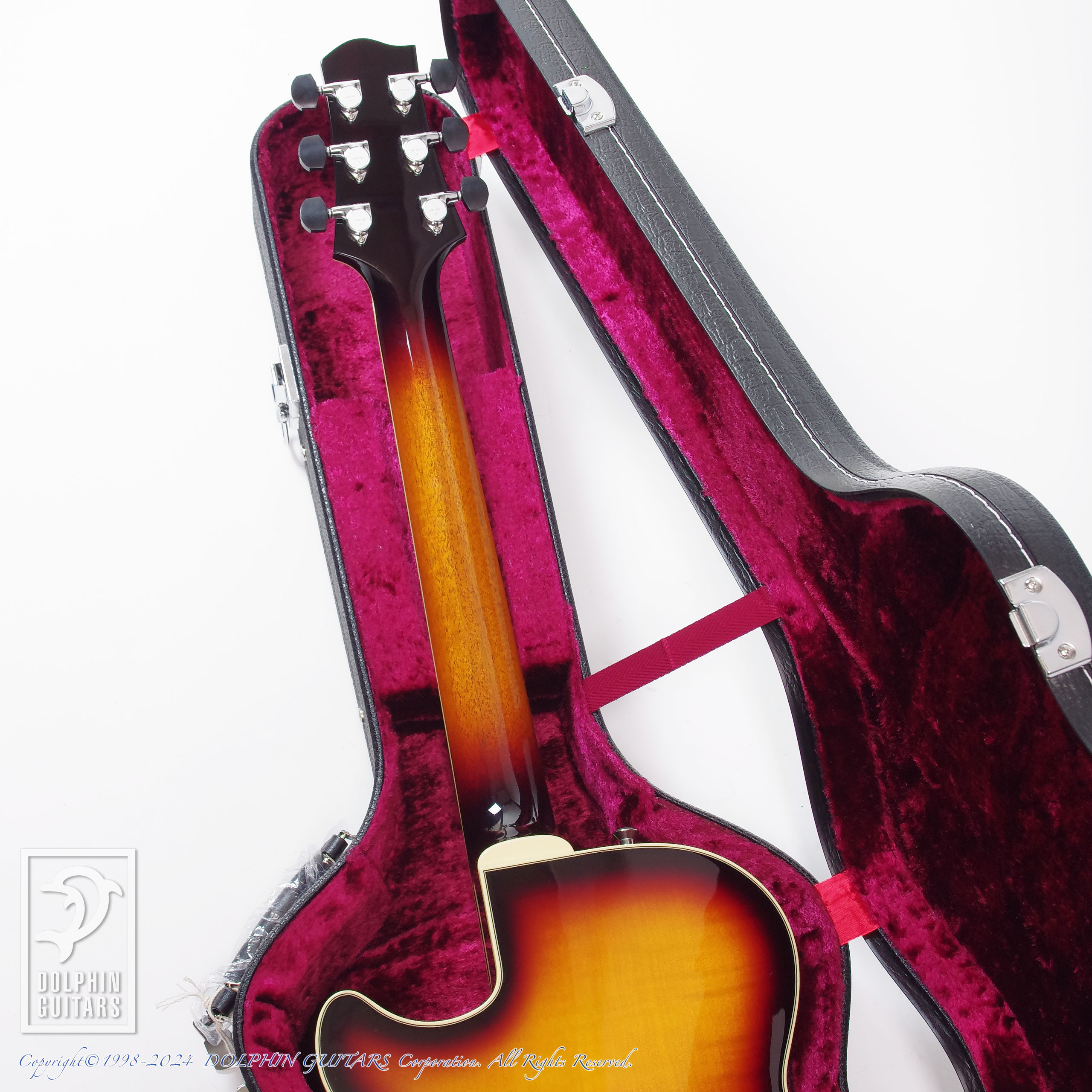 SADOWSKY Semi Hollow (TCB)|ドルフィンギターズ