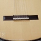 Model-N (Nylon Strings)10