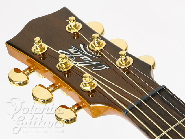 MATON TE-1 Japan Custom (Tommy Emmanuel Signature)|ドルフィンギターズ