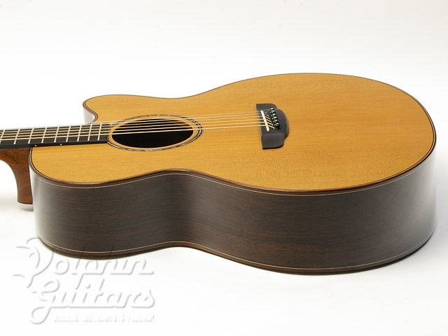 ギター ASTURIAS Gran solo custom ギター ASTURIAS Gran solo custom ASTURIAS Gran solo custom Solo