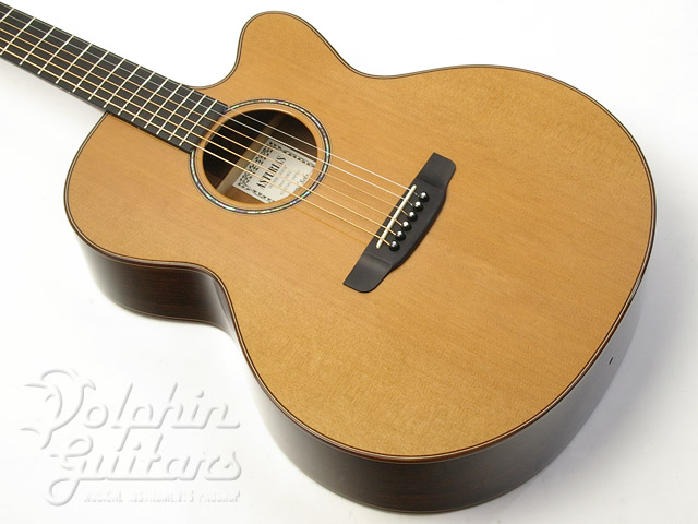 ギター ASTURIAS Gran solo custom ギター ASTURIAS Gran solo custom ASTURIAS Gran solo custom Solo