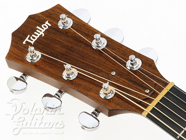 TAYLOR 310|ドルフィンギターズ
