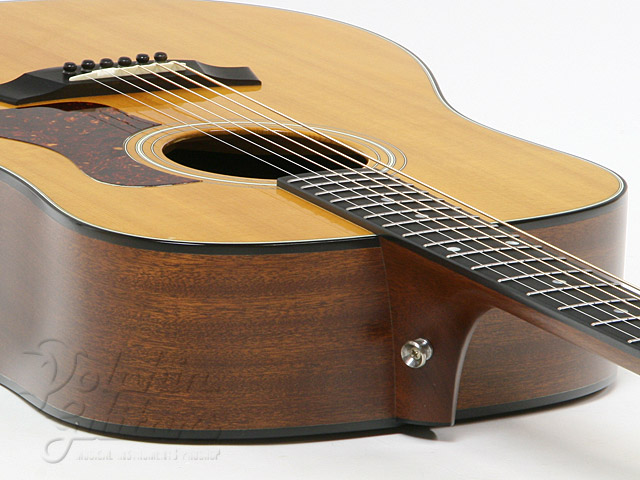 TAYLOR 310|ドルフィンギターズ