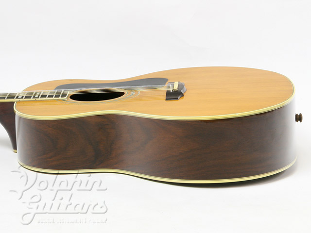 GUILD F-50R|ドルフィンギターズ