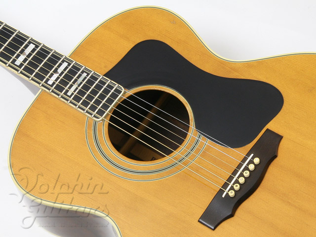 オ*ン様 Guild社製 稀代の名器 F50R NT 期間限定最終