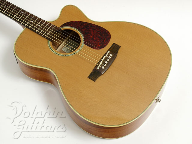 TAKAMINE PTU-709|ドルフィンギターズ
