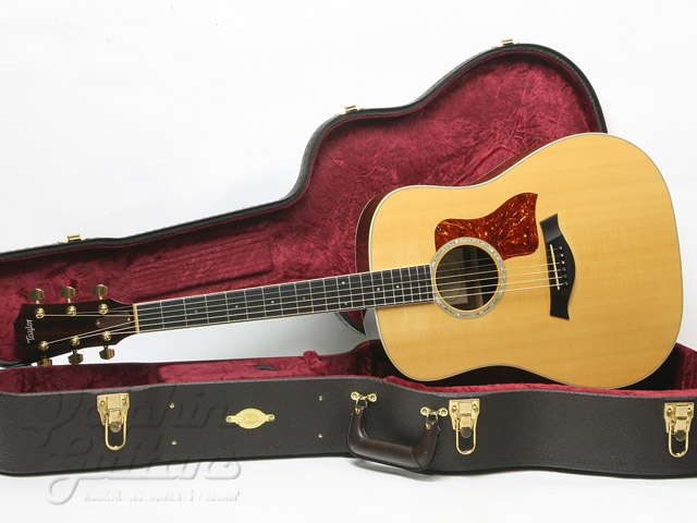 TAYLOR DN8|ドルフィンギターズ