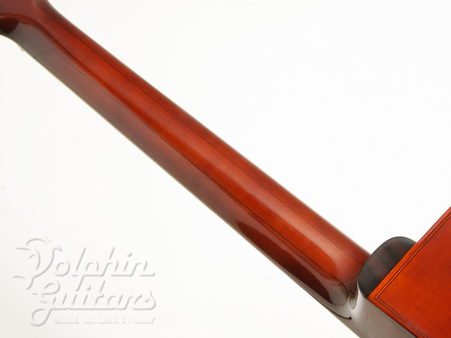 T and JooDee Gem-B |ドルフィンギターズ