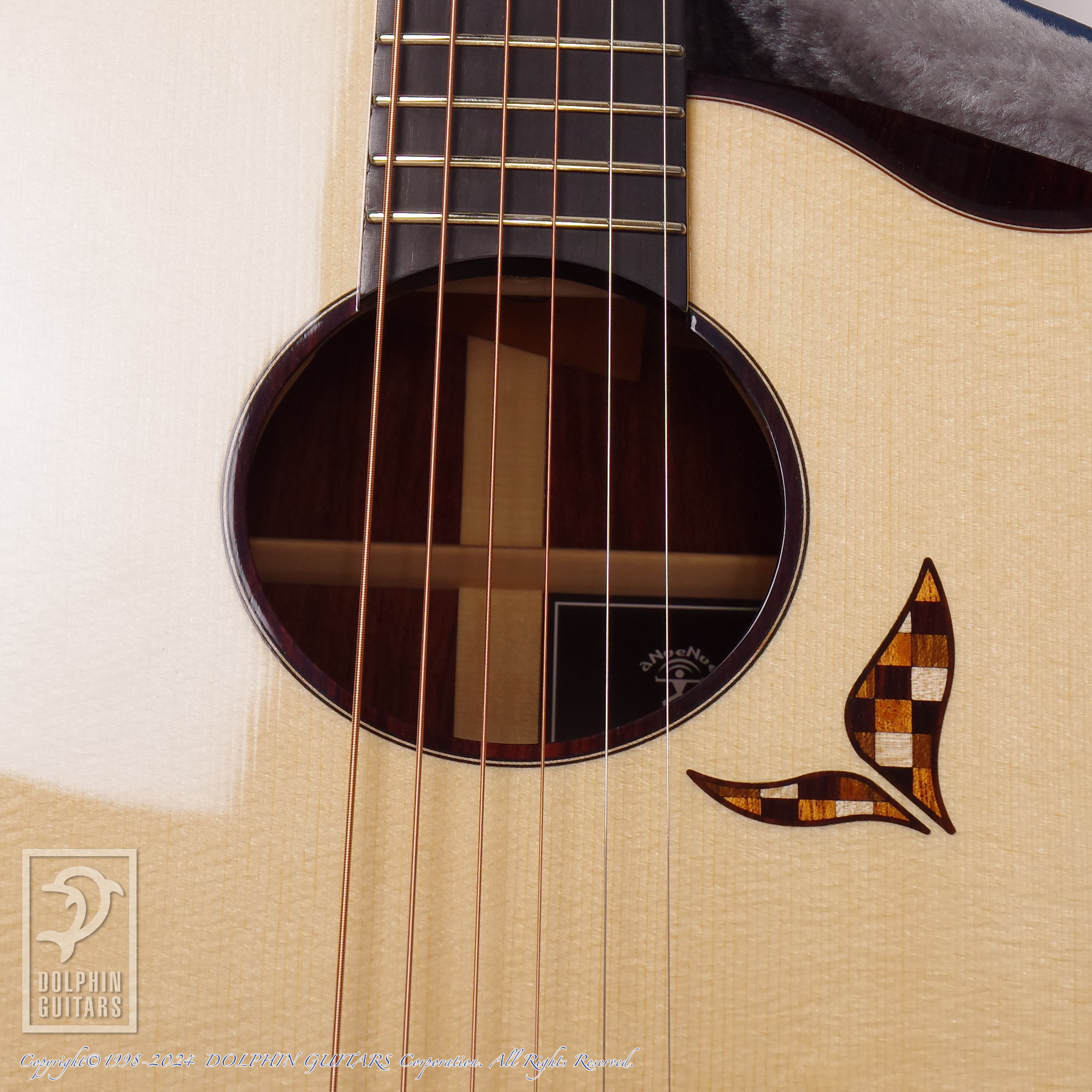 aNueNue LS-Seiji Igusa|ドルフィンギターズ