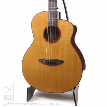 298 LF550E (Torrefied Sitka Spruce)
