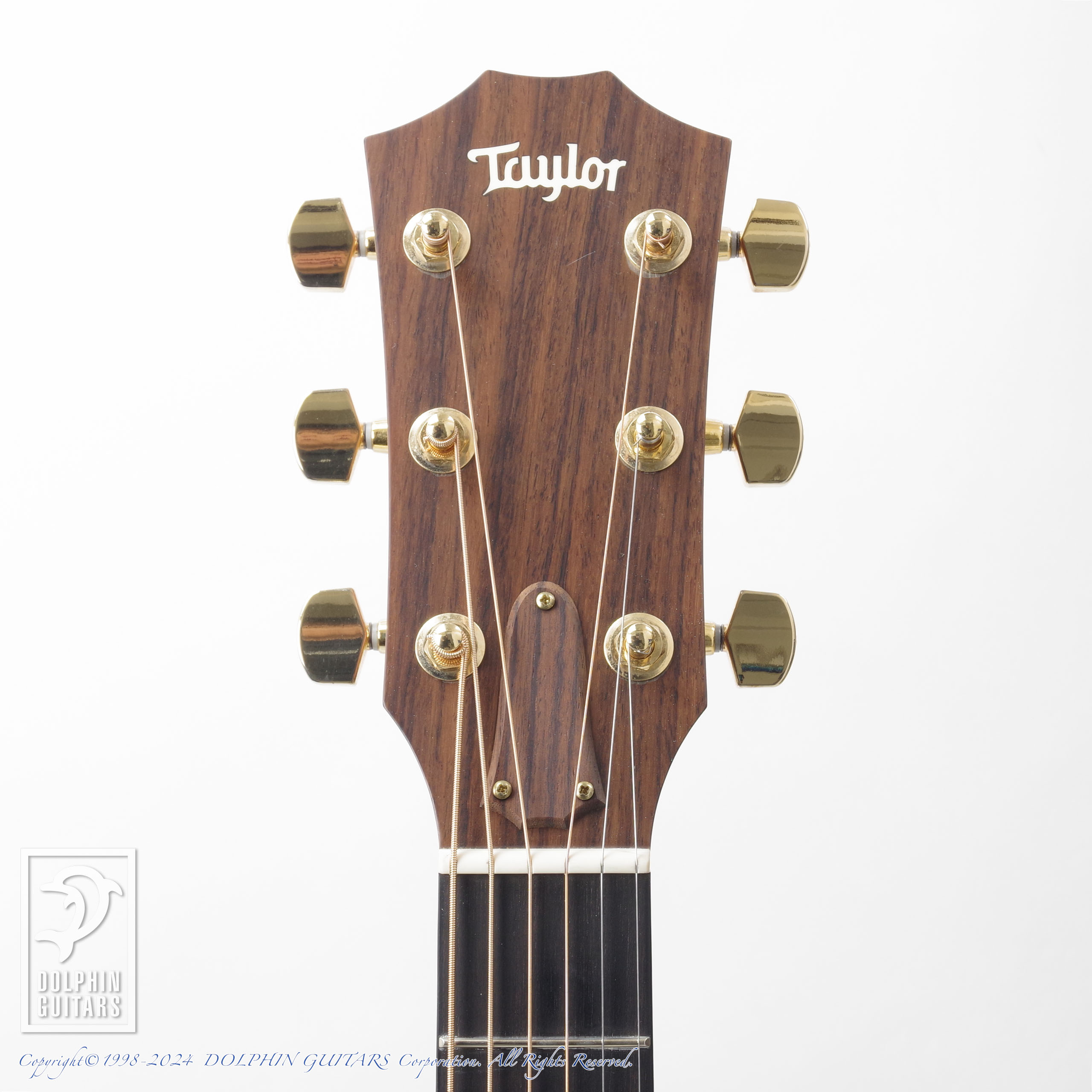 TAYLOR 314ce Japan LTD|ドルフィンギターズ