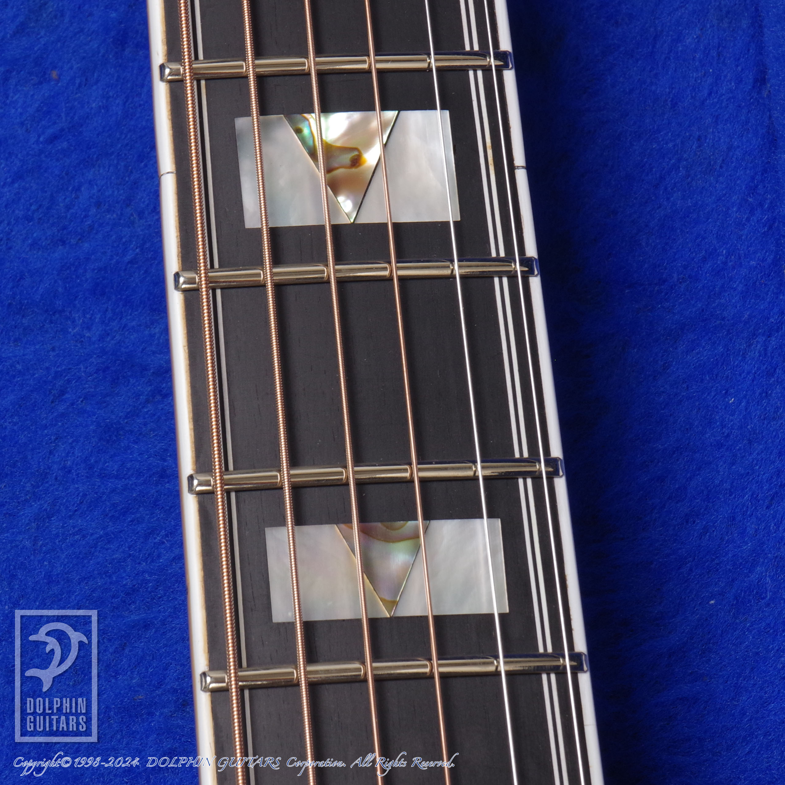 GUILD D-55|ドルフィンギターズ