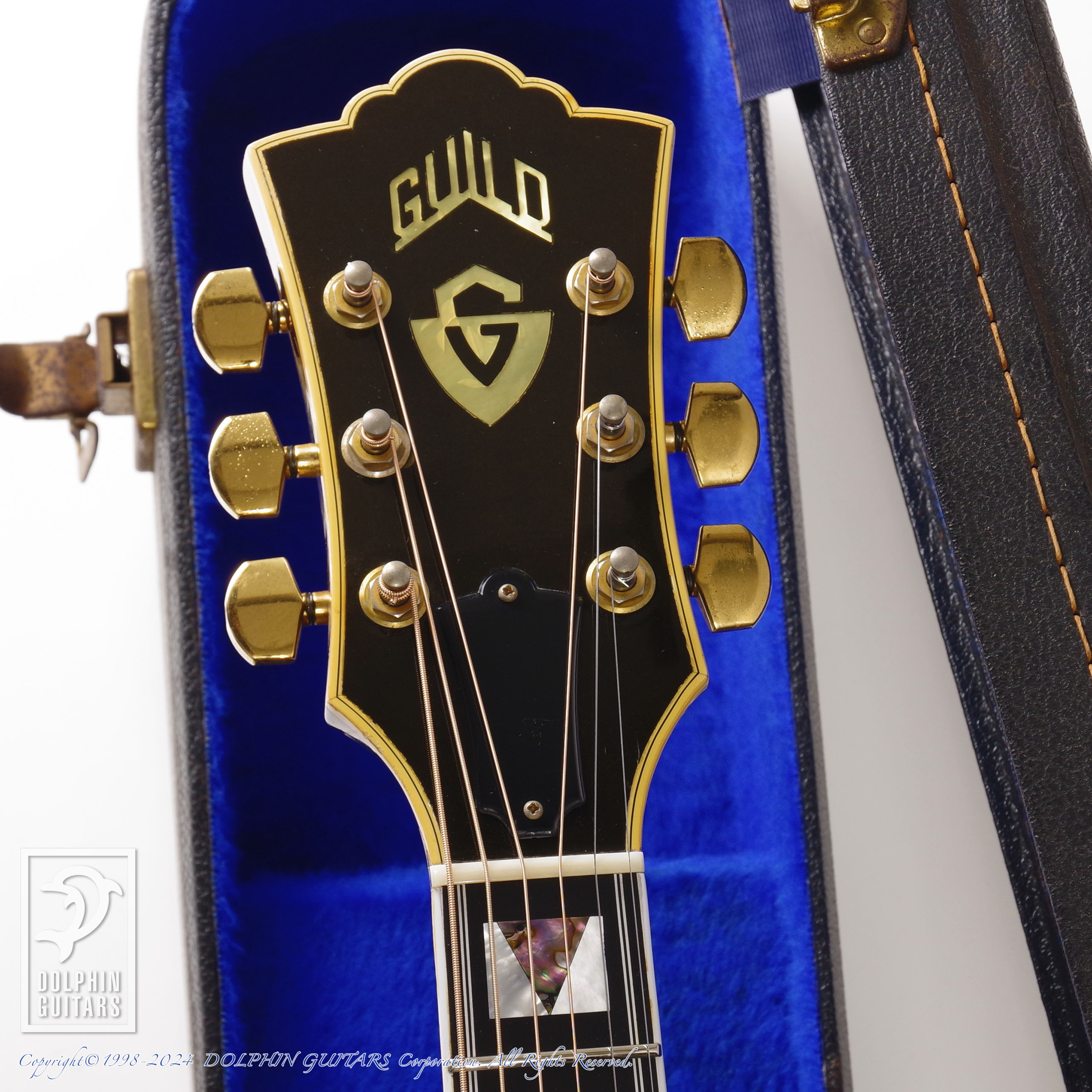 GUILD D-55|ドルフィンギターズ