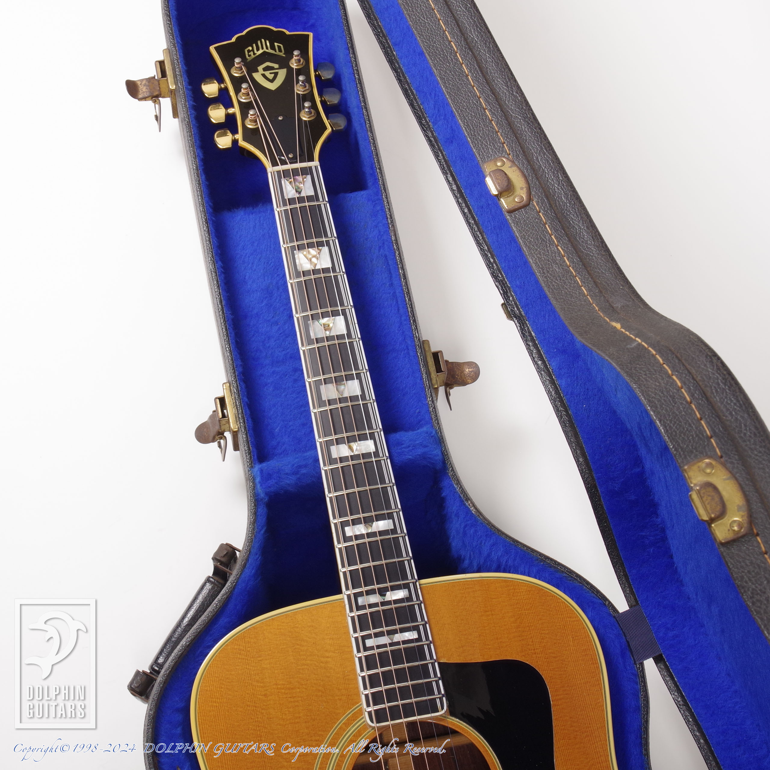 GUILD D-55|ドルフィンギターズ