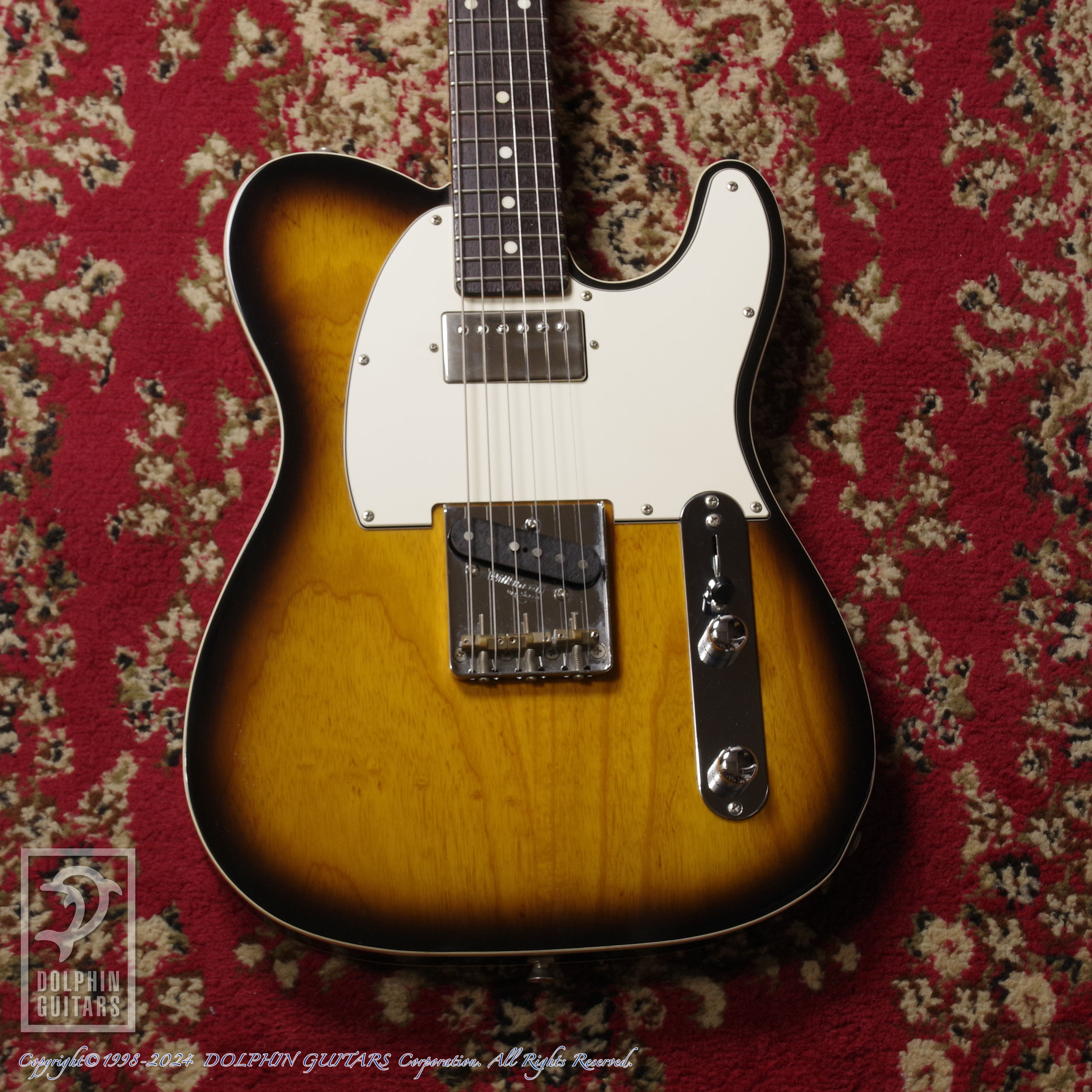 フジゲン　NCTL20R/ ASH FUJIGEN NCTL-20R / ASH|ドルフィンギターズ