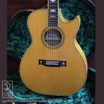 【最終値下げ】AN2AC-Custom COLE CLARK コールクラーク COLE CLARK AN2AC|ドルフィンギターズ