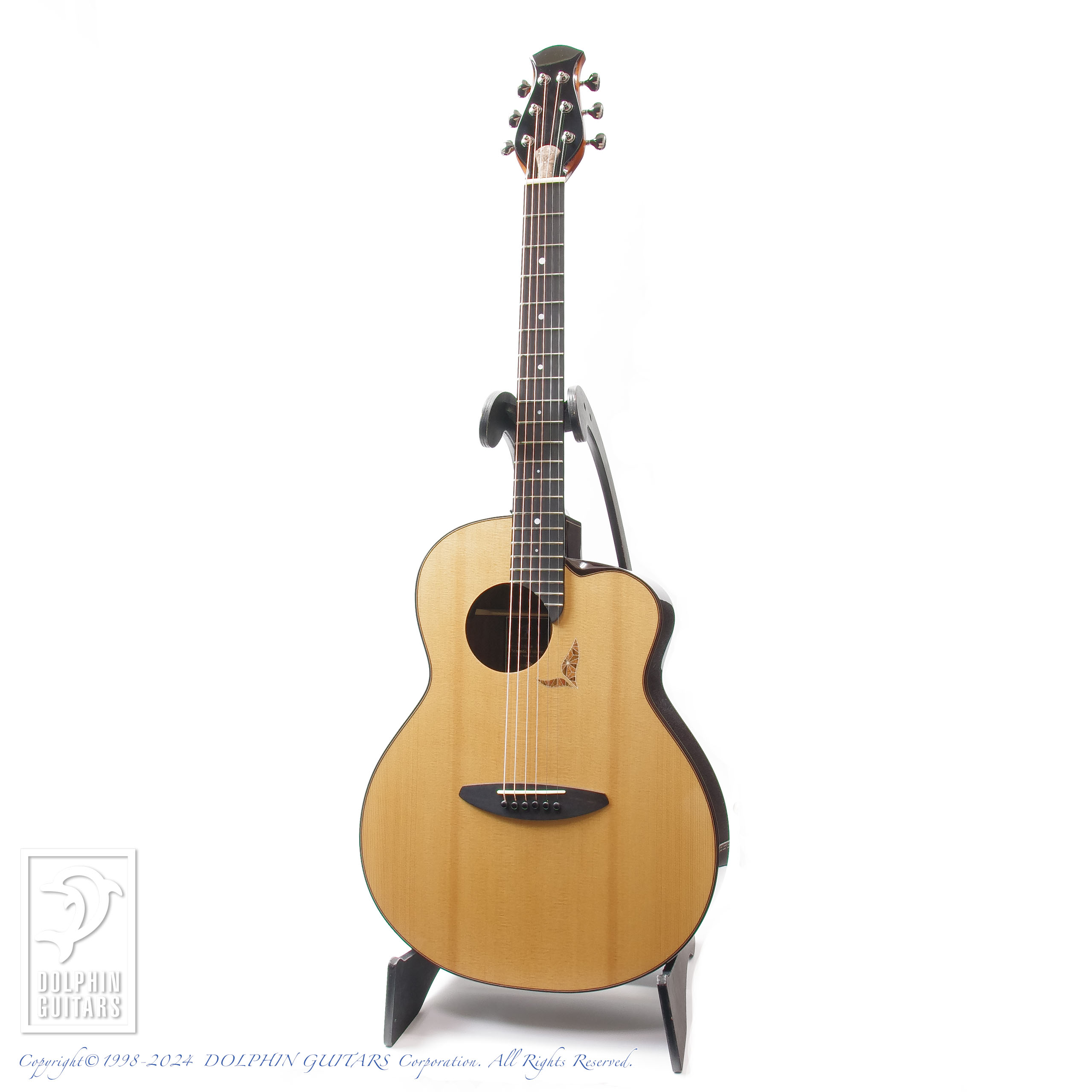 aNueNue LS770E (Torrefied Moon Spruce)|ドルフィンギターズ