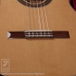 Solo Classico C (Nylon Strings)8