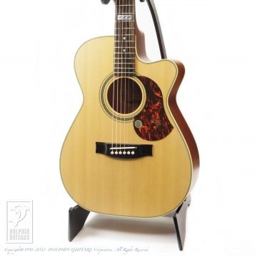 166 EBG808CTE (Tommy Emmanuel Signature)