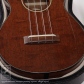 UC-2 (Honduras Mahogany)9