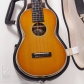 UC-2 Indian SB (Spruce & Indian Rosewood)8