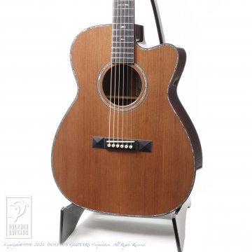 10 Solo Premium Custom CC