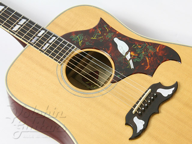 Gibson Dove|ドルフィンギターズ