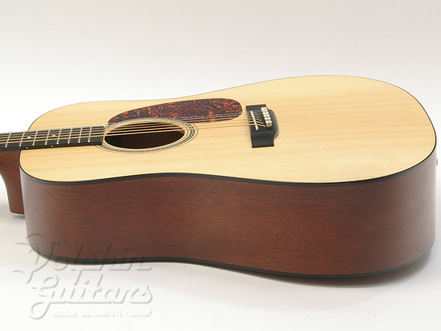 C.F.Martin D-16GT|ドルフィンギターズ