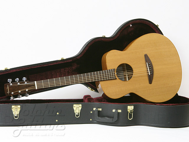 BADEN a-style (Cedar & Mahogany) w/ELLIPSE AURA|ドルフィンギターズ