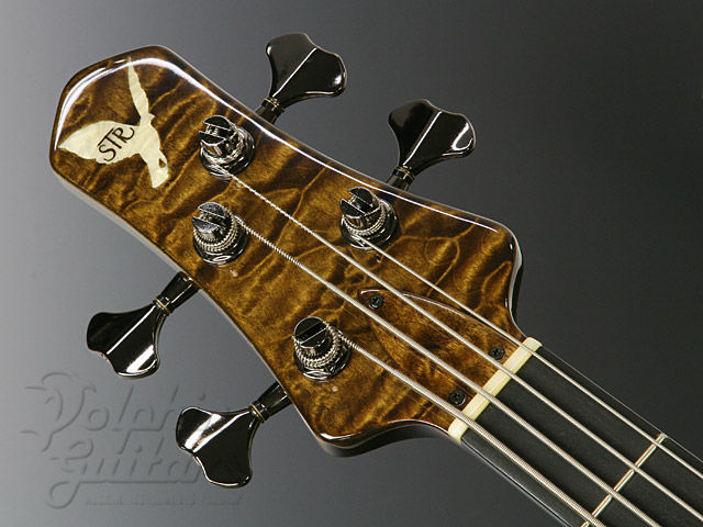 STR Guitars LS449|ドルフィンギターズ