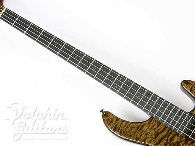 STR Guitars LS449|ドルフィンギターズ