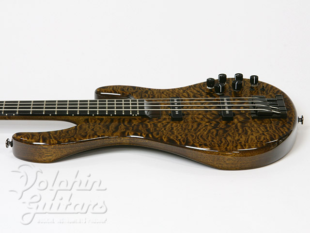 STR Guitars LS449|ドルフィンギターズ