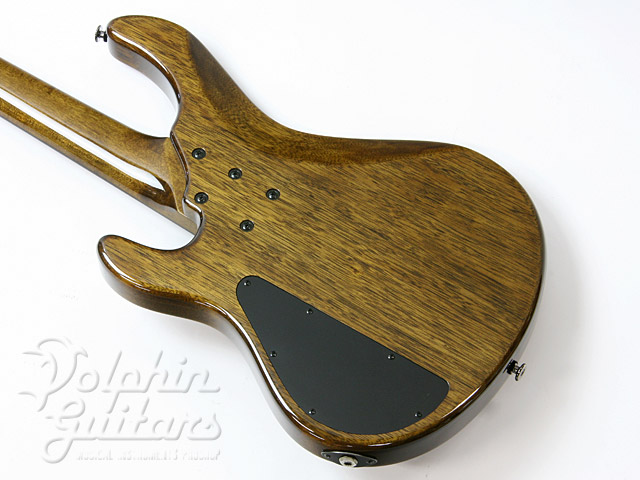 STR Guitars LS449|ドルフィンギターズ