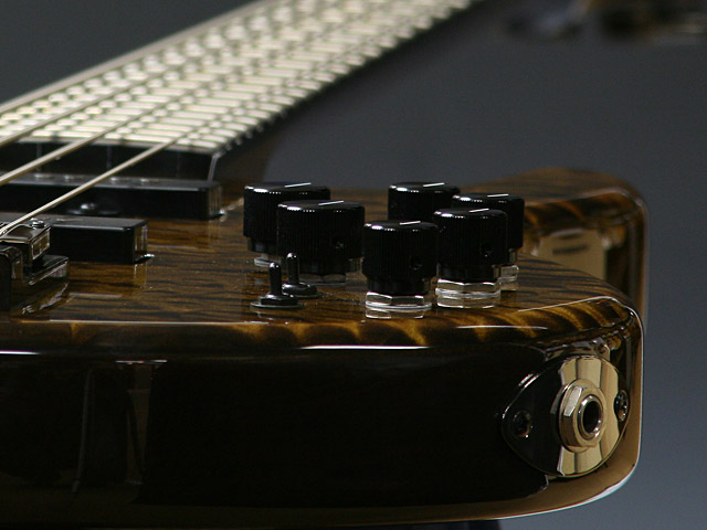 STR Guitars LS449|ドルフィンギターズ