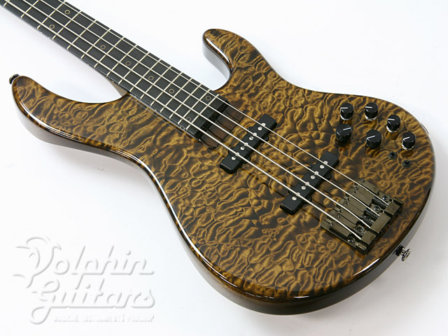 STR Guitars LS449|ドルフィンギターズ