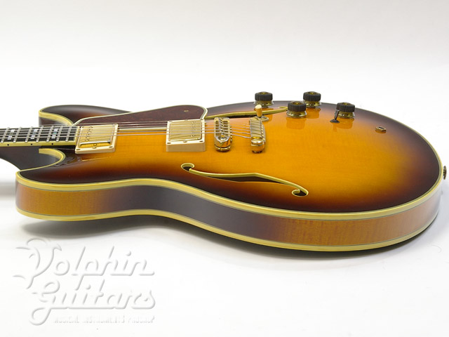 ギター Ibanez AS200 Ibanez | アイバニーズ | エレキギター | semi-hollow|