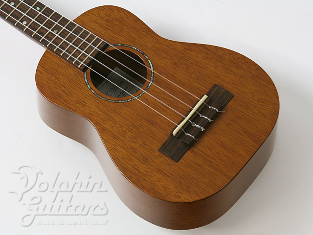 T's MT-100 PU付 T's MT-100|ドルフィンギターズ