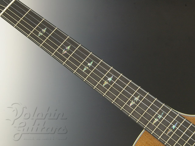 Breedlove Bossa Nova Cutaway|ドルフィンギターズ