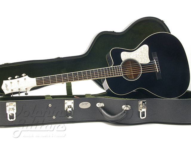 C-10 Cutaway Doghair Custom