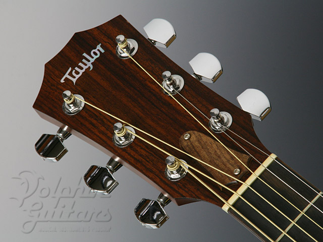 TAYLOR 510ce-L9|ドルフィンギターズ