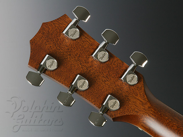 Taylor 510ce L9 （＋Fishman レアアースブレンド） Taylor 510ce L9 （＋Fishman レアアースブレンド） Taylor