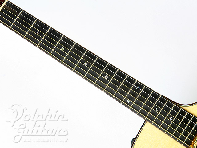TAYLOR 510ce-L9|ドルフィンギターズ