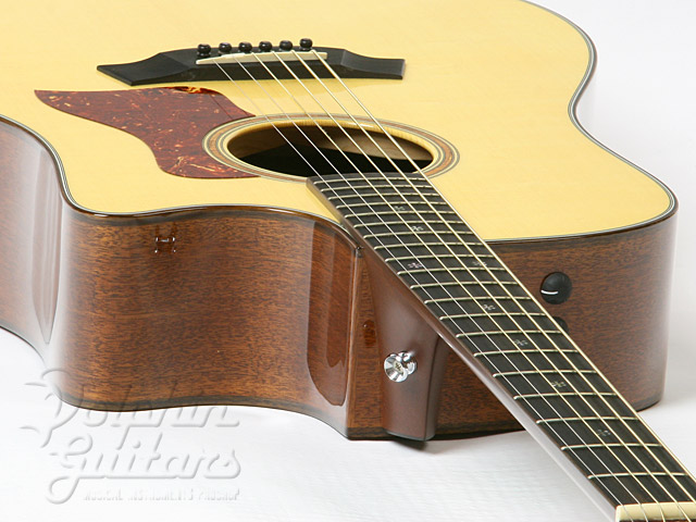Taylor 510ce L9 （＋Fishman レアアースブレンド） Taylor - Taylor 510ce L9 （＋Fishman レアアースブレンド） の