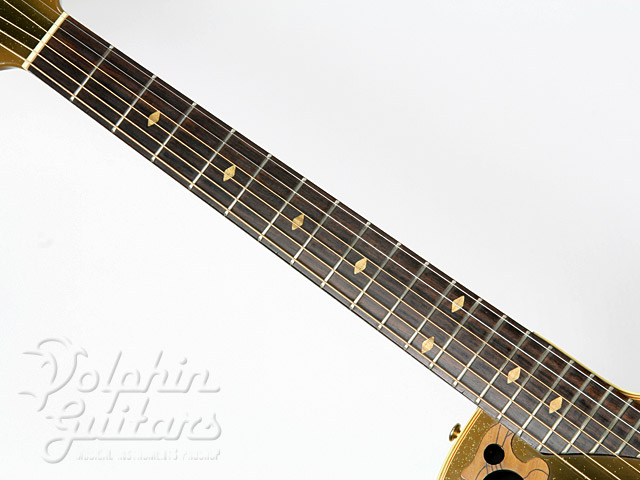 OVATION 5851-9 Gold Starred ＜Limited Edition＞|ドルフィン