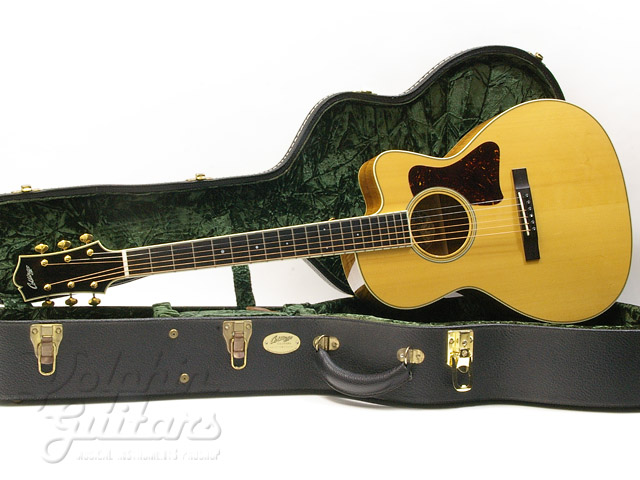 C-10 Deluxe GK Cutaway