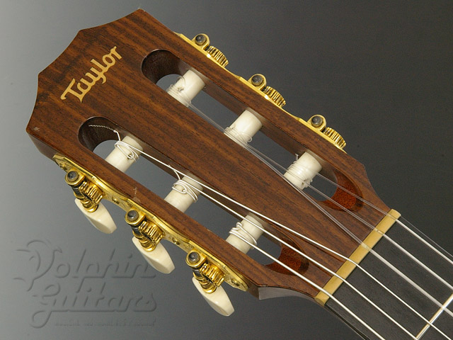 Taylor ギター TAYLOR NS72-CE|ドルフィンギターズ