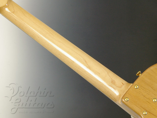 CARRUTHERS GUITAR ACN [Acoustic Electric Nylon String