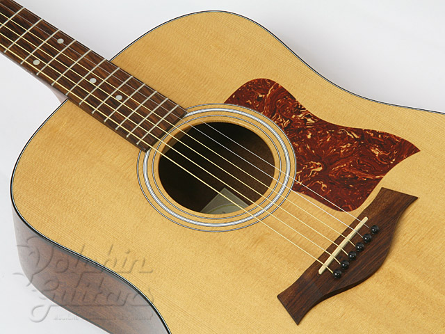 TAYLOR 110|ドルフィンギターズ